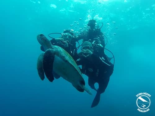 Mergulho Certificado Ilha Da Ancora