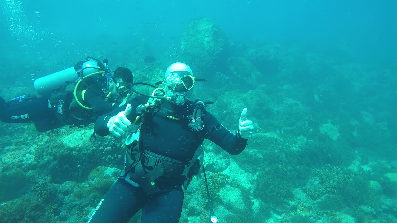 Mergulho Certificado Ilha Da Ancora
