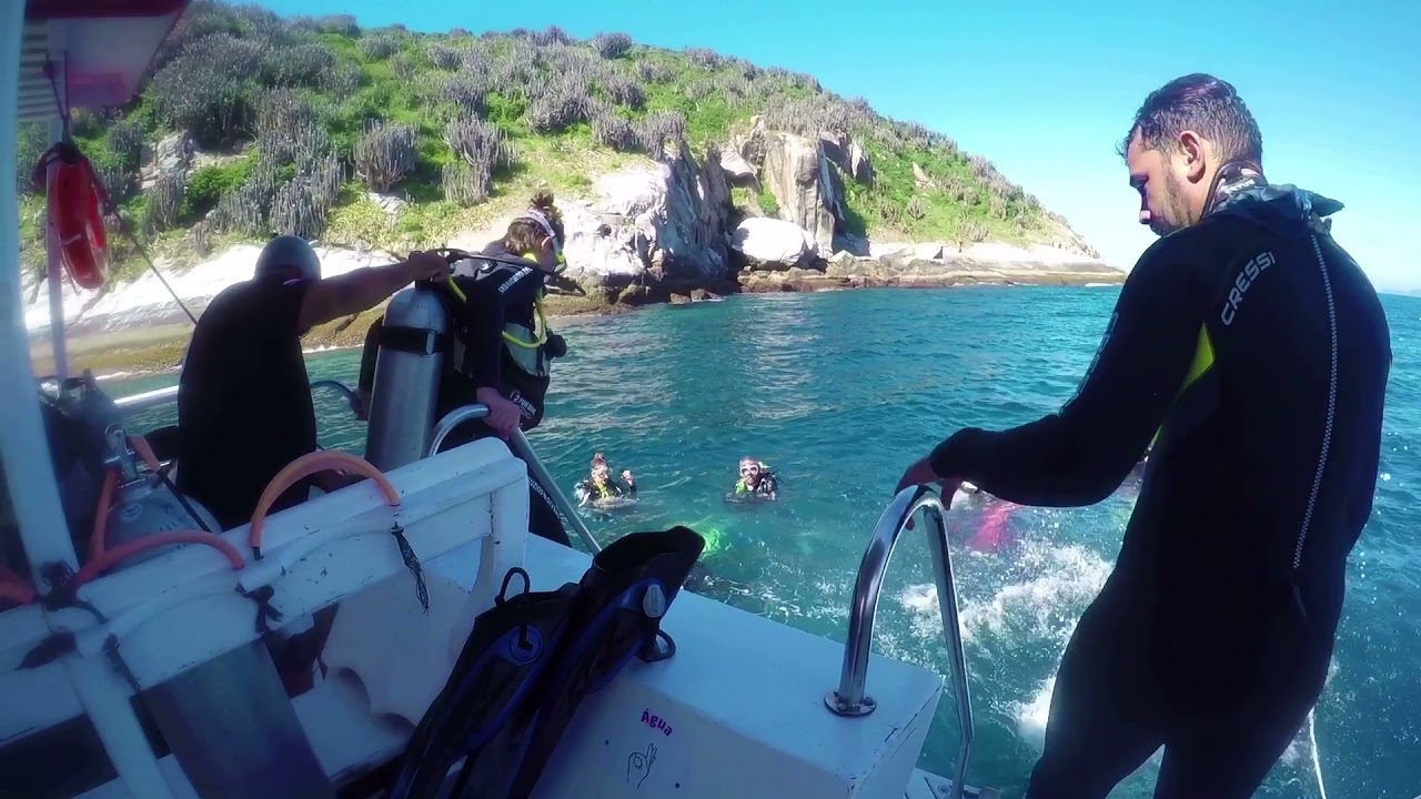 Mergulho Certificado Ilha Da Ancora