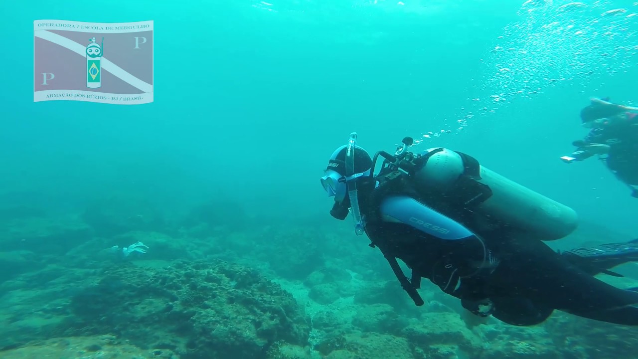 Mergulho Certificado Ilha Da Ancora