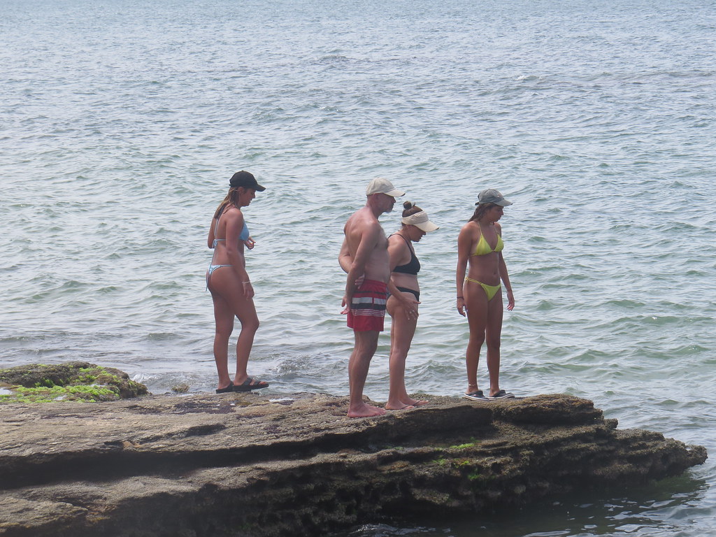 Praia da Tartaruga
